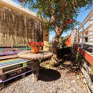 Casa Camelias Portugal